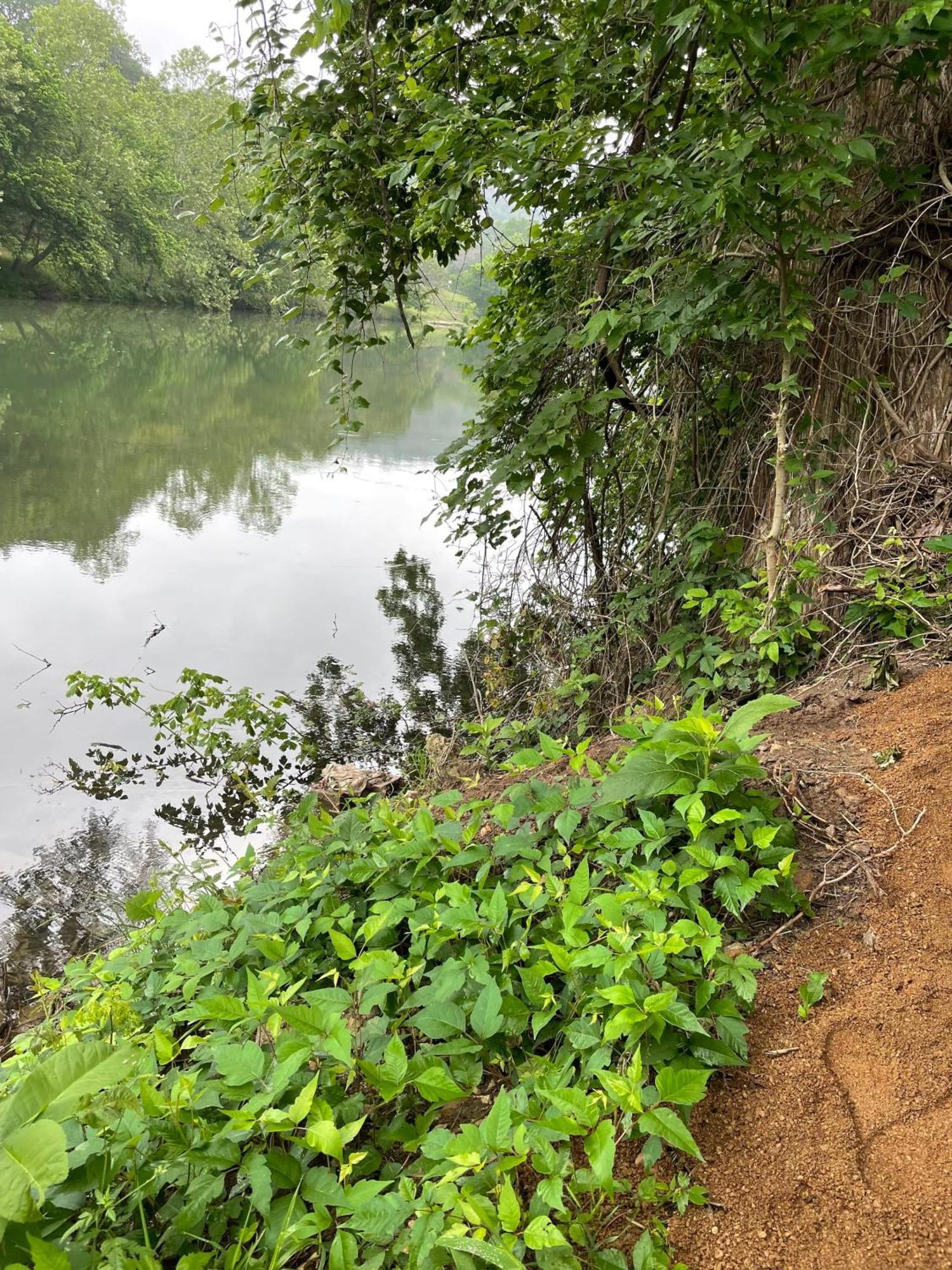 Pet Friendly Tiny House Rental With New Access To Guadalupe River Nbtx New Braunfels Exteriör bild