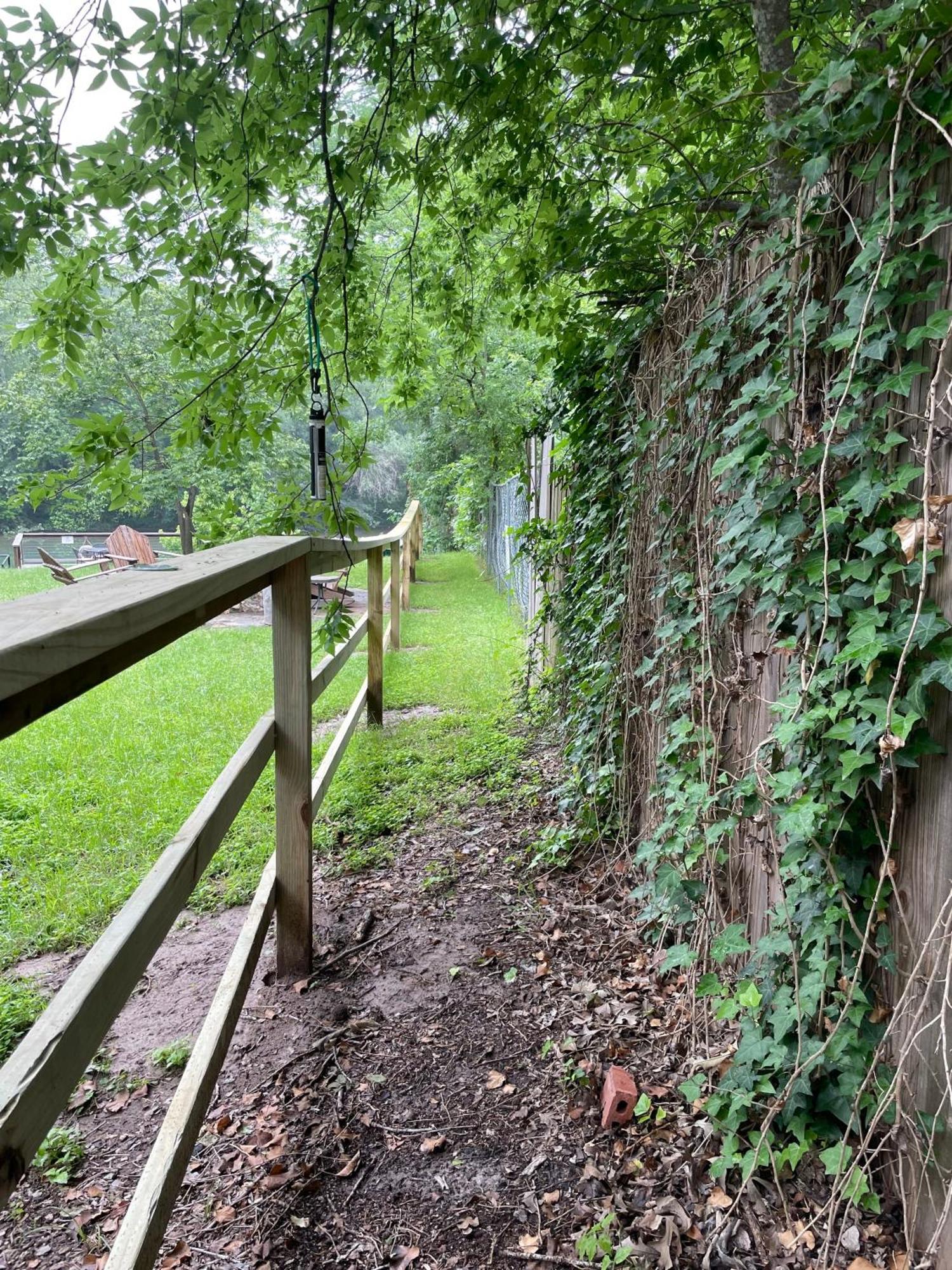 Pet Friendly Tiny House Rental With New Access To Guadalupe River Nbtx New Braunfels Exteriör bild